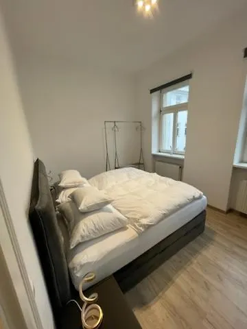 Vienna Appartement - Classic And Modern